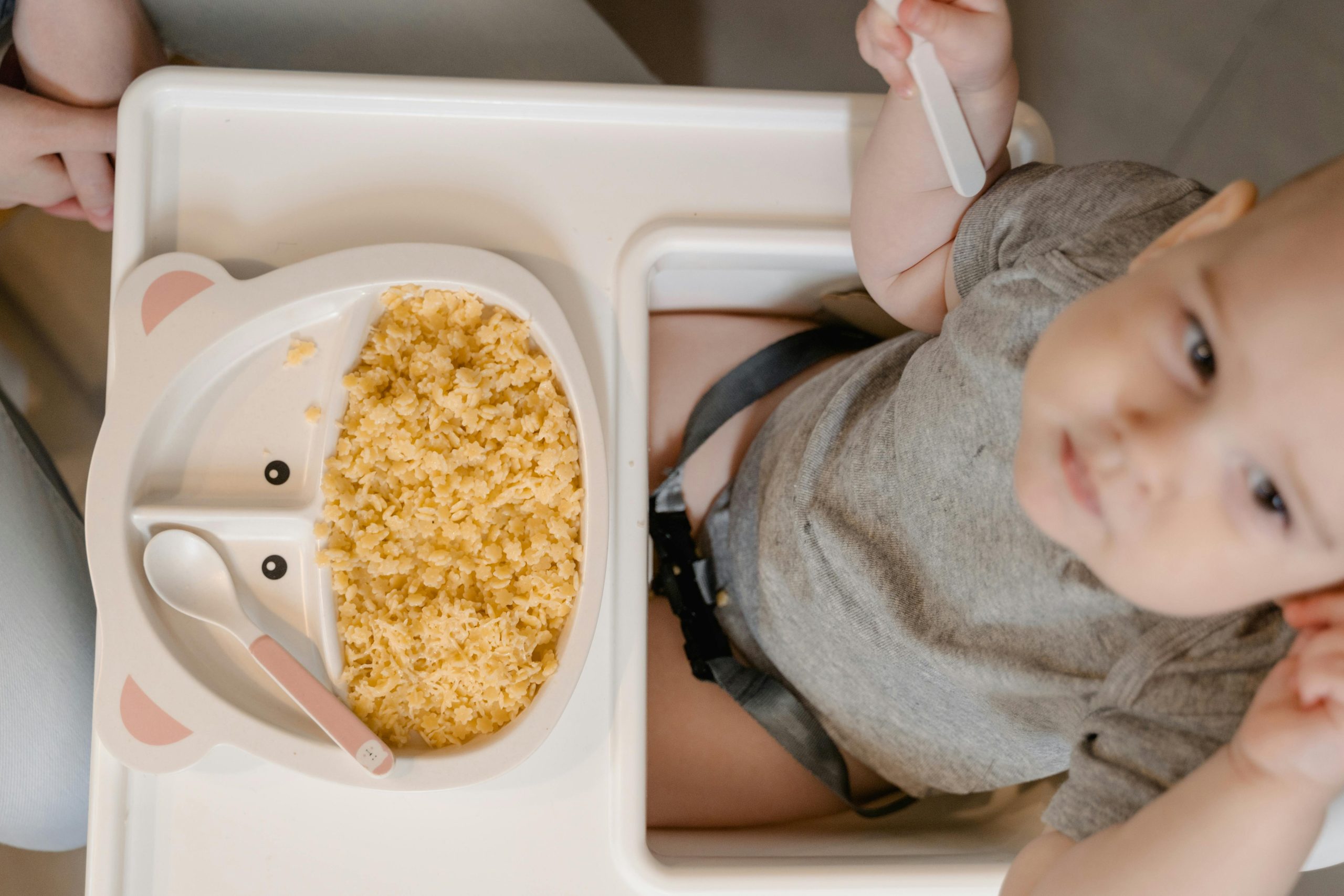 Comment choisir la vaisselle idéale pour accompagner votre bébé dans ses premiers repas autonomes